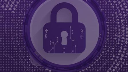 Cybersecurity and privacy lock