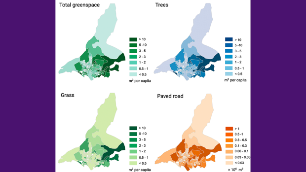 4 maps depicting amount of green space