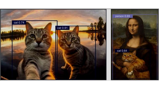 Photo of cats being identified by an AI program