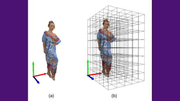 2 images demonstrating Field-of-View of a woman in a cell graph