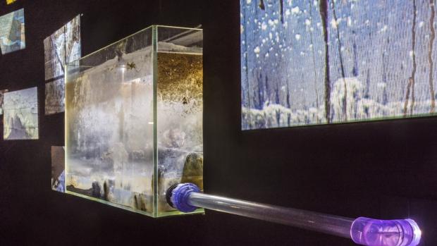 a clear tank of dirty water with a tube attached to a wall that has video screens