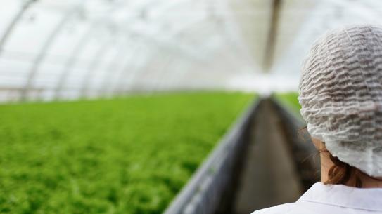 Biotechnology and Entrepreneurship 