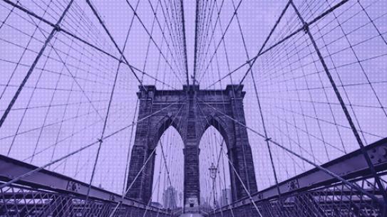 How to Apply to Bridge Program Image