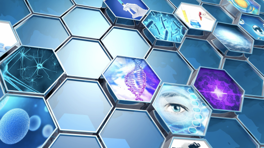 Different aspects of Biomedical Engineering displayed on hexagons
