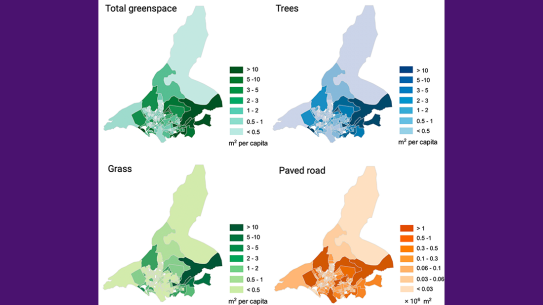 4 maps depicting amount of green space