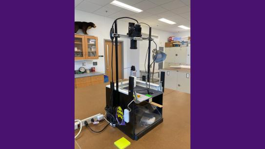 Image of the skelevision device