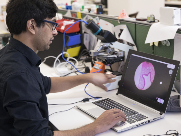 a grad student working on a laptop in a lab with a close up of a microscope on the screen