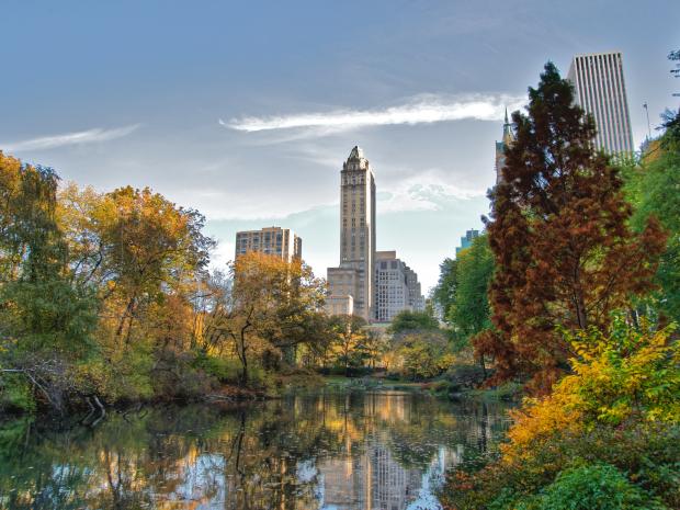 Central Park View of several buildings from New York City's Central Park.