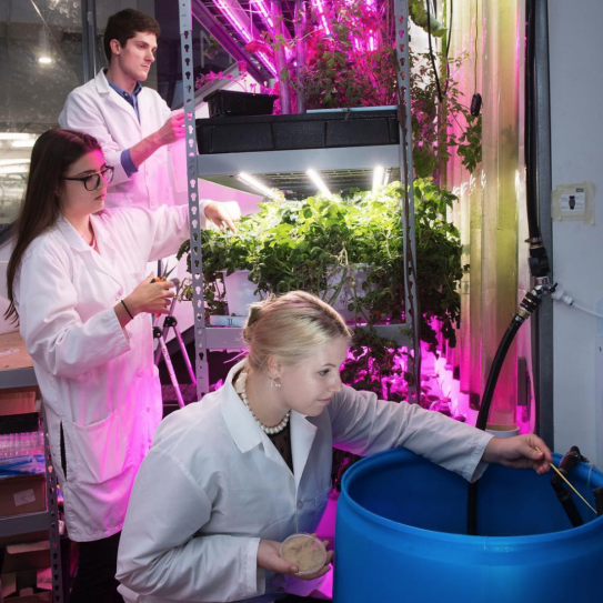 vertical farming research vertical farming research