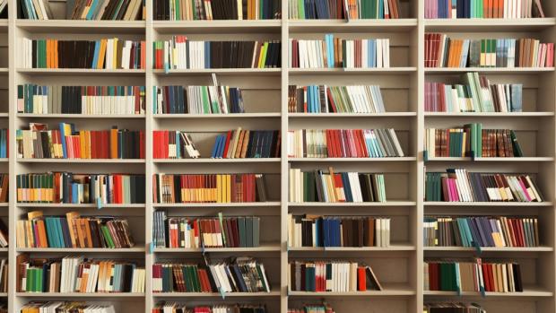 shelves filled with books
