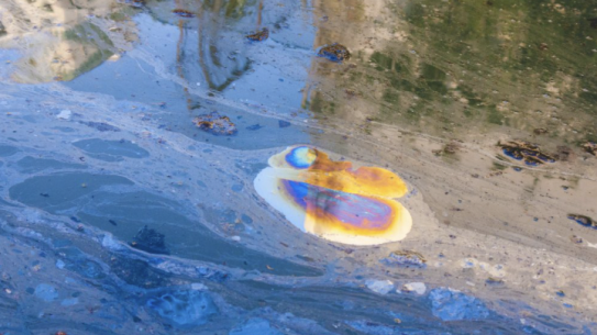GOWANUS CANAL MICROBIOME