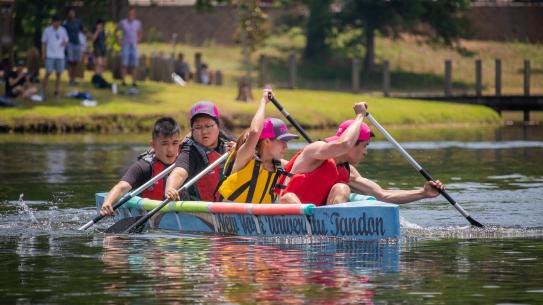 image of team paddling on race day